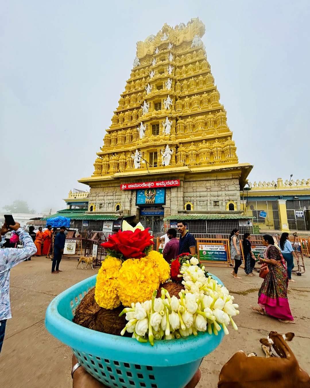 mysore one day trip packages