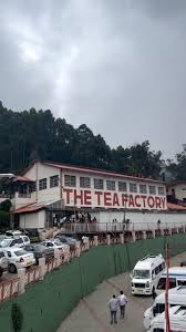The Tea Museum