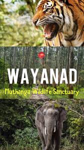 Muthanga Wildlife Sanctuary