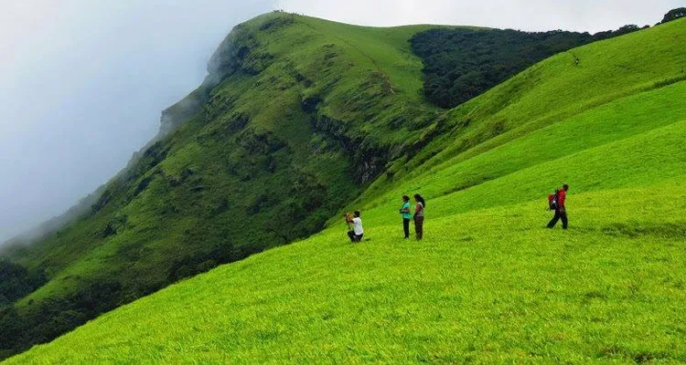 Mysore to Coorg Package