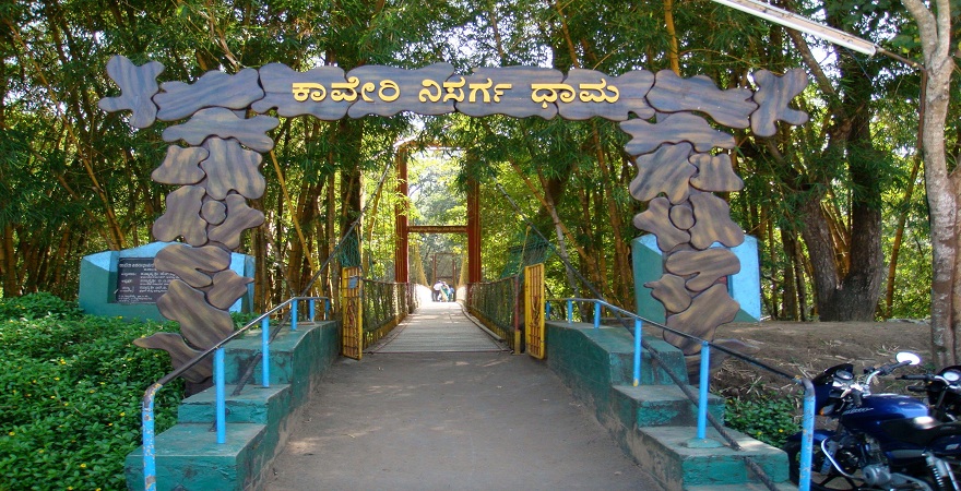 Mysore to coorg package